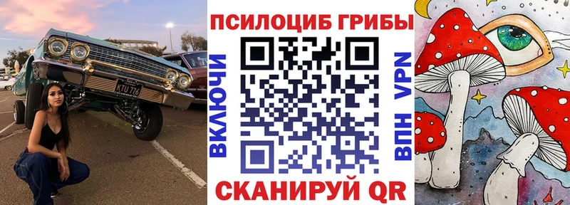 Галлюциногенные грибы мицелий  где купить наркотик  Тобольск 